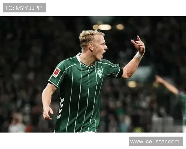 云达不莱梅降级，终结20年德甲之旅